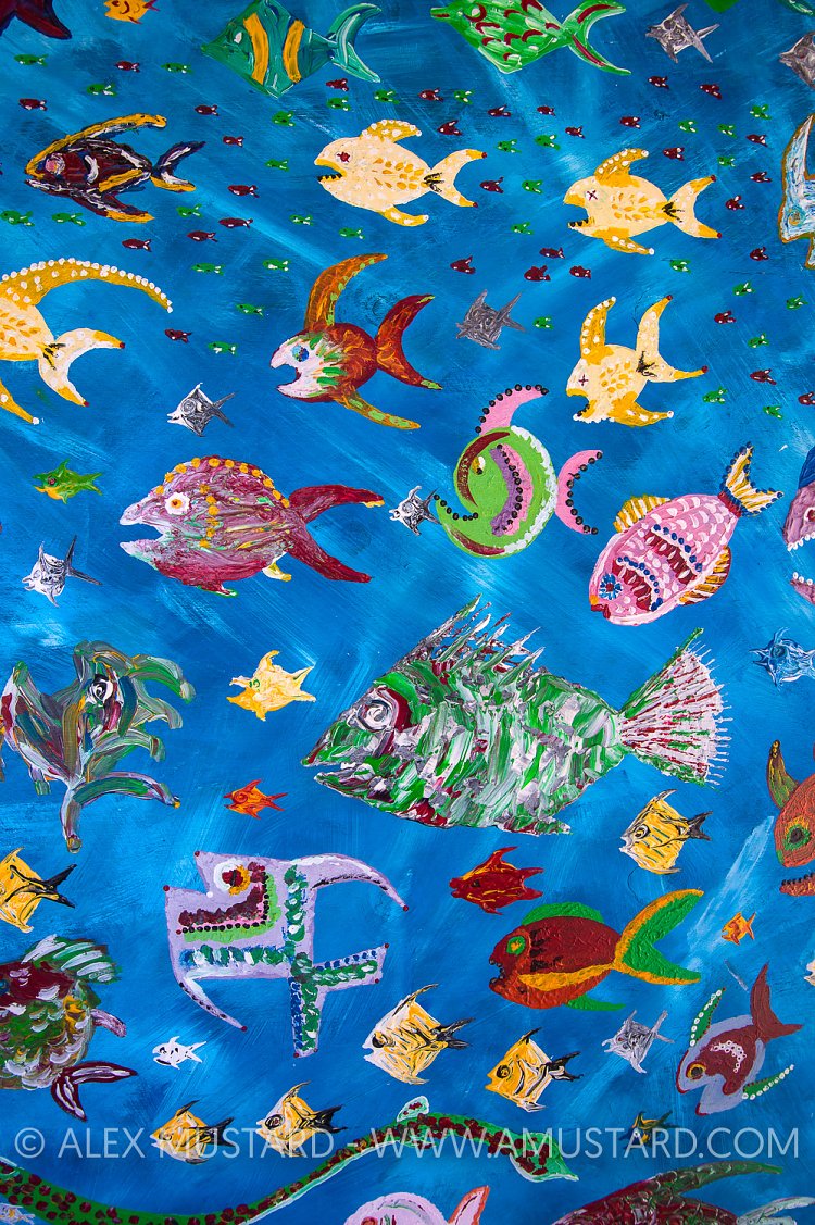 Fish. Cayman Islands