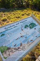 Bird Watching Sign. Cayman Islands