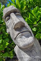 Garden Statue. Cayman Islands