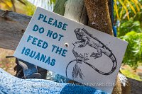 Sign. Cayman Islands