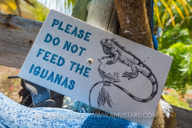Sign. Cayman Islands