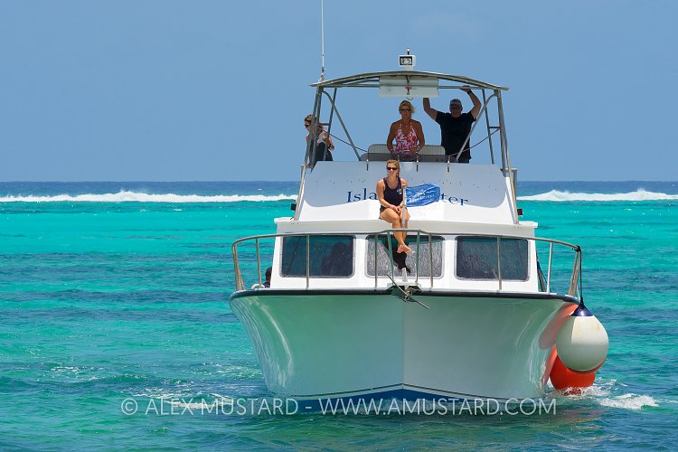 Returning From Diving. Cayman Islands