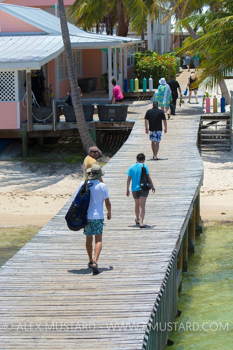 Returning From Diving. Cayman Islands