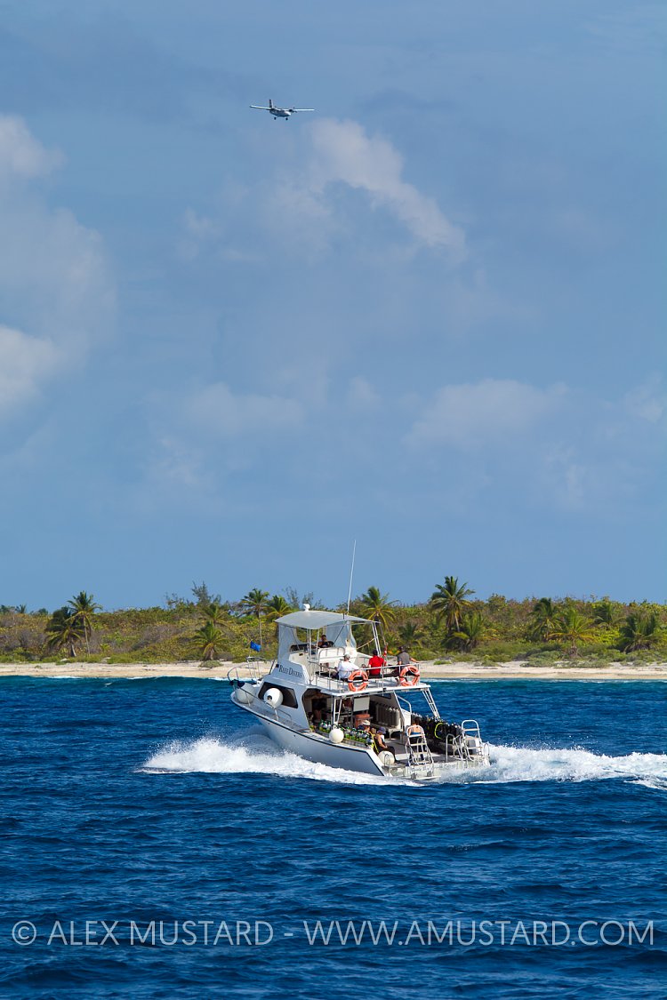 Coming and Going Diving. Cayman Islands