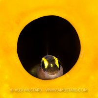 Spotlight. Cayman Islands