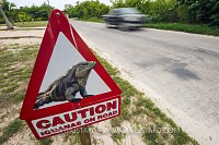 Road Sign. Cayman Islands