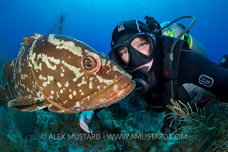 Grouper Selfie. Cayman Islands
