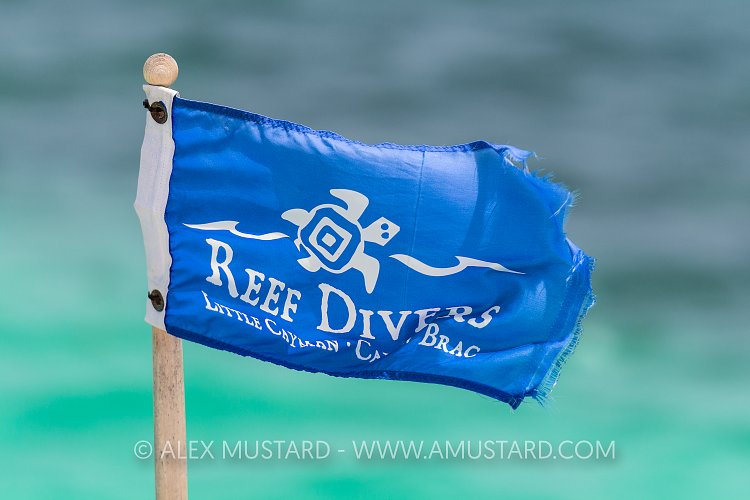 Dive Shop Flag. Cayman Islands
