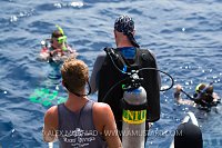 Off Diving. Cayman Islands