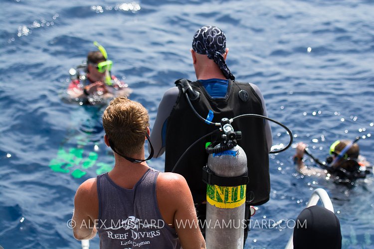 Off Diving. Cayman Islands