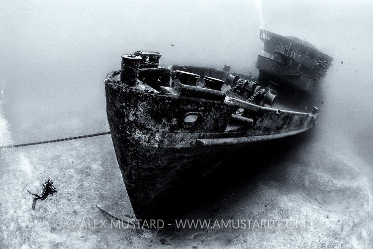 Kittiwake Bow. Cayman Islands.
