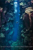 Diver In Rift. Iceland