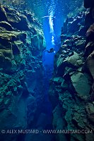 Diver In Silfra Canyon. Iceland