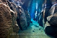 Diver in Nes Canyon. Iceland