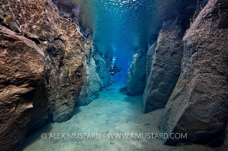 Diver explores Nes Canyon. Iceland