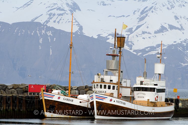 Boats in Harbour, Husavik, Iceland.