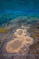 Thermal springs. Iceland