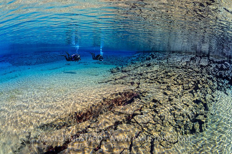 Divers In Blue Lagoon, Silfra, Iceland.
