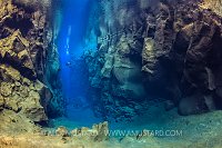 Diving Between Continental Plates. Iceland