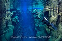 Diver In Silfra. Iceland