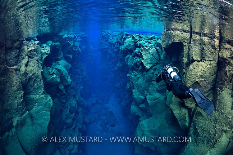 Diver In Silfra. Iceland