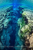 Canyon With Diver. Iceland