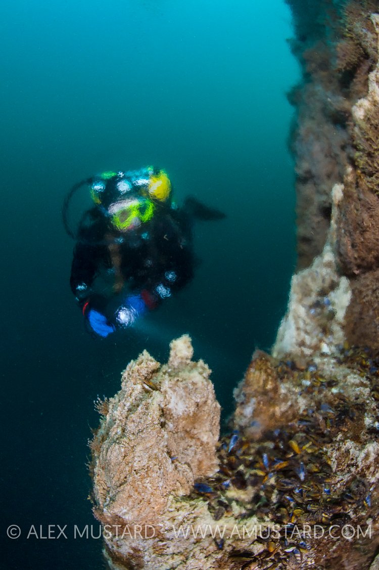 Hydrothermal Chimney. Iceland