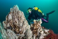 Hydrothermal Chimney. Iceland