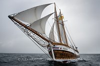 Hildur Schooner. Iceland