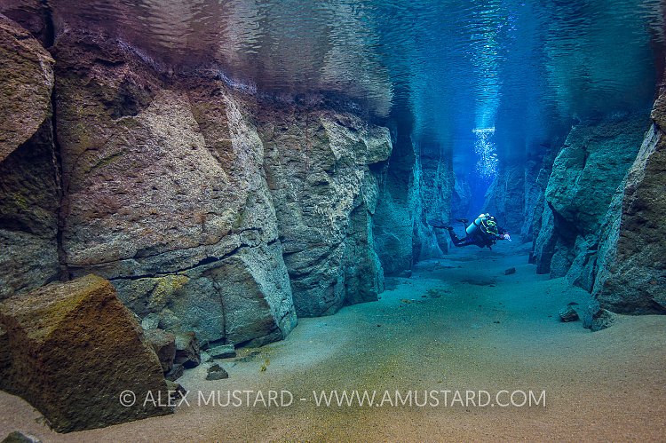 Diver In Nesgja Canyon. Iceland