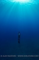 Freediving in Portfino, Italy.