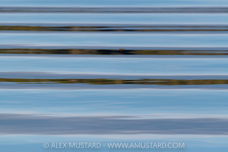 Ripples & Reflections, Canada