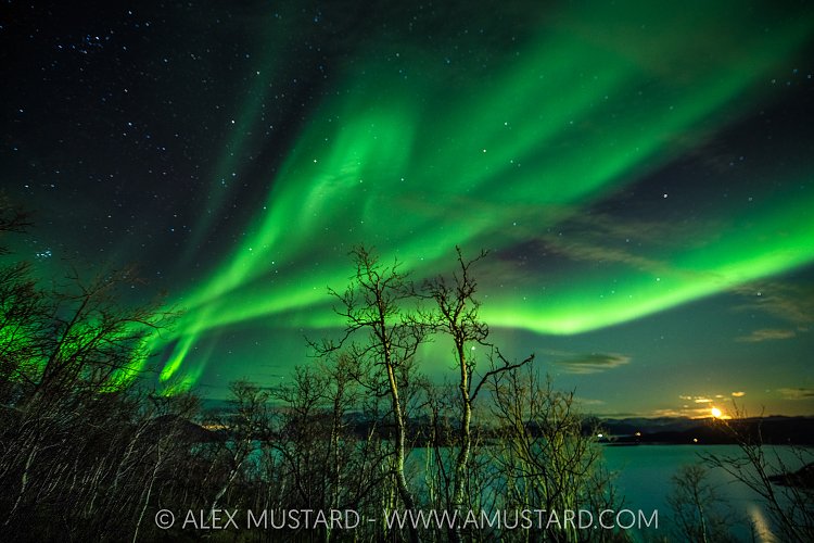 Northern Lights, Norway