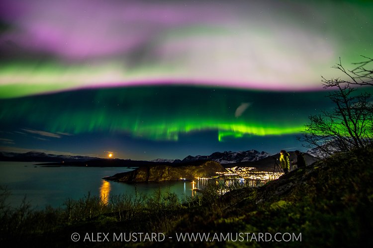 Northern Lights, Norway