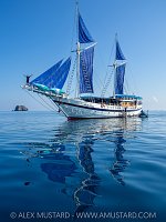 Diving Liveaboard, Indonesia