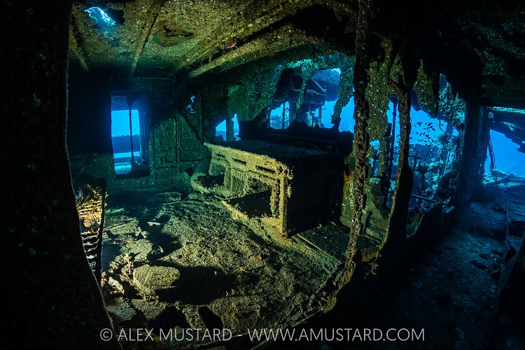 Chrisoula K Galley, Egypt