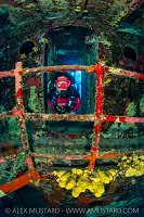 Kittiwake Diver, Cayman Islands