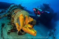 Kittiwake Diver, Cayman Islands