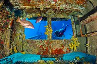 Kittiwake Diver, Cayman Islands