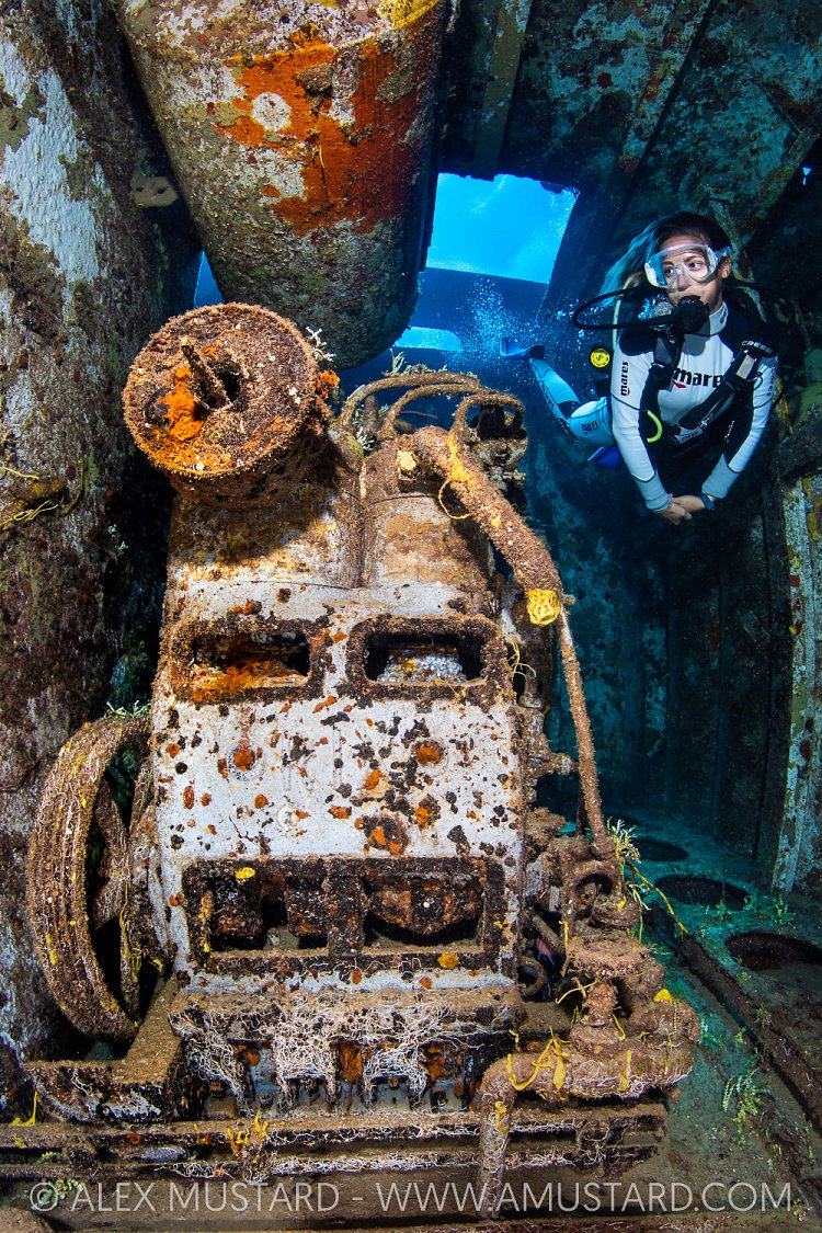 Exploring The Kittiwake, Cayman Islands