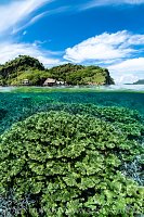 Corals And Islands, Indonesia