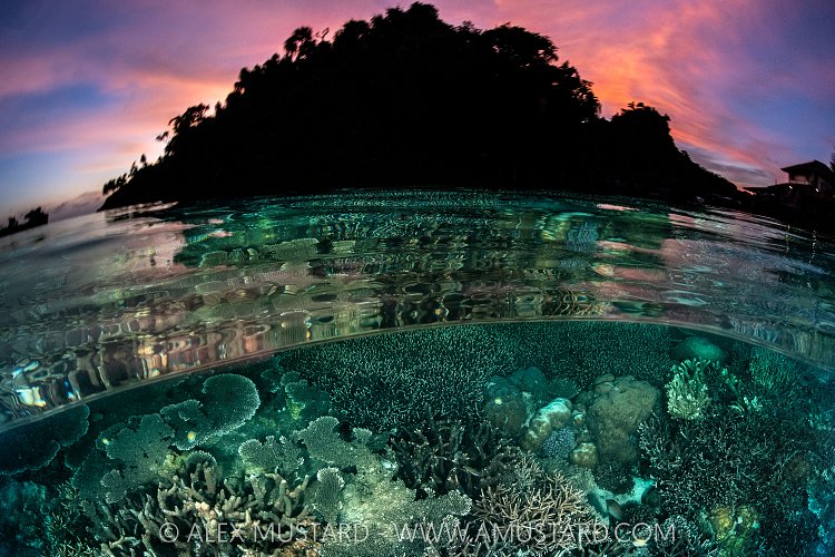 Coral Reef Sunset, Indonesia