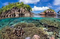 Coral Garden Split Level. Indonesia
