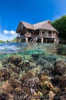 Corals And Resort, Indonesia