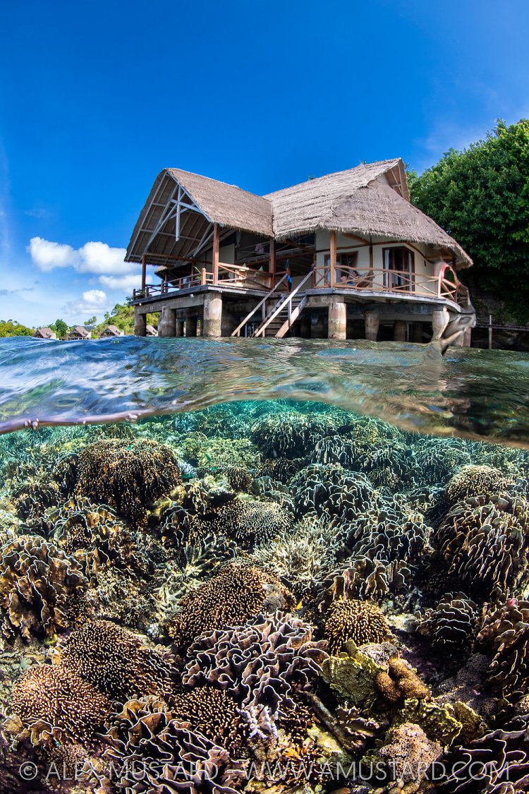 Corals And Resort, Indonesia