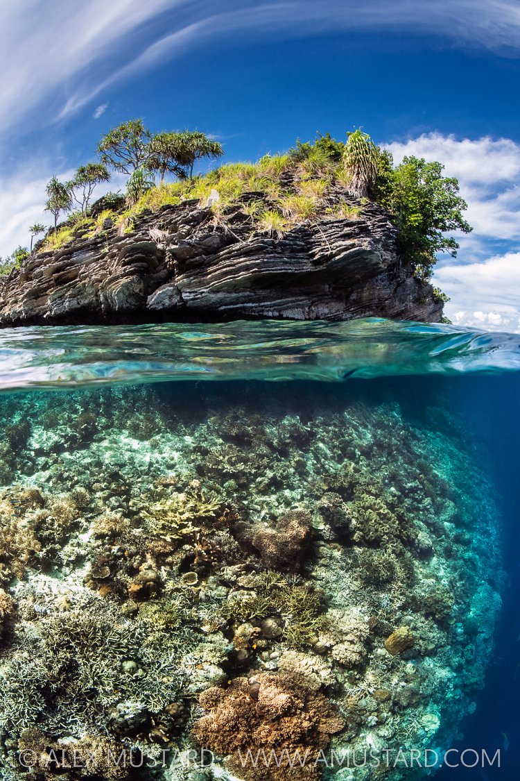 Coral Reef Split Level, Indonesia