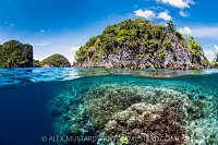 Coral Reef Split Level, Indonesia