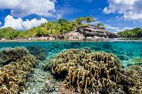 Coral Garden And Tropical Island, Indonesia