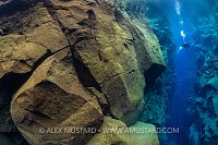 Diver In Silfra, Iceland
