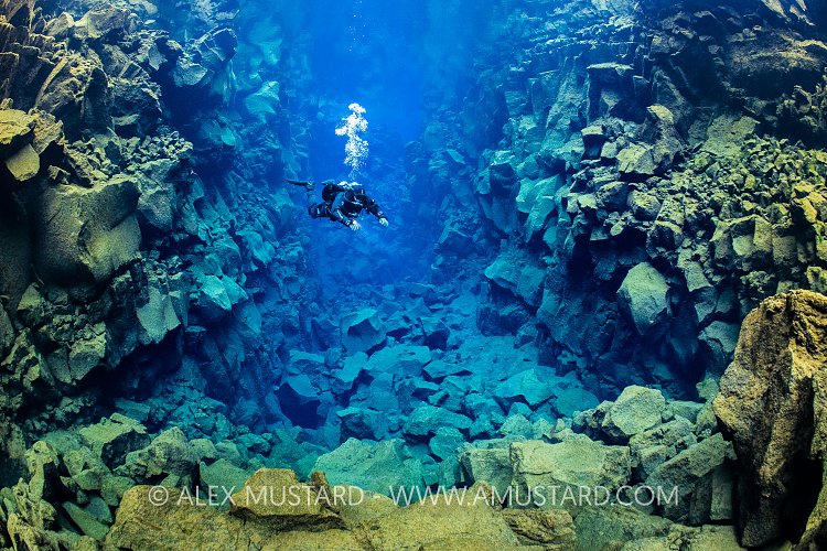Diver In Silfra, Iceland